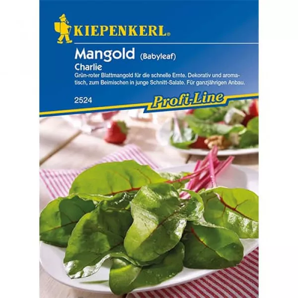 Mangold Charlie