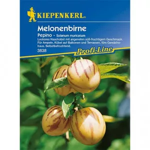 Pepino (Tojásdinnye)