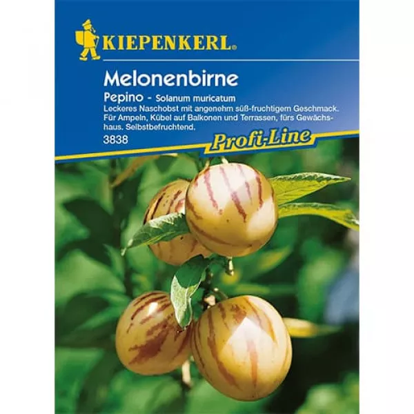 Pepino (Tojásdinnye)