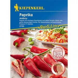 Csípős paprika Amboy F1