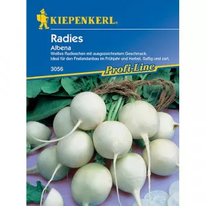 Retek Albena
