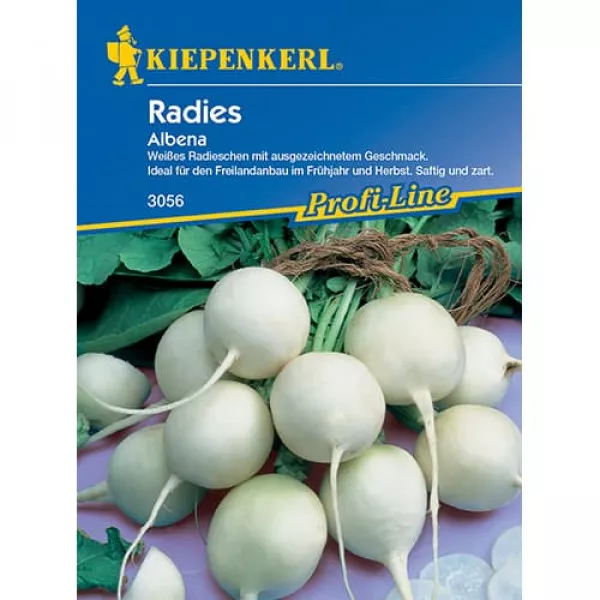 Retek Albena