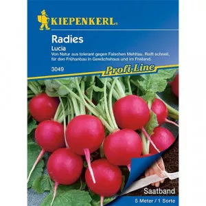 Retek Lucia F1