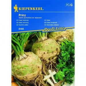 Zellergyökér Prinz