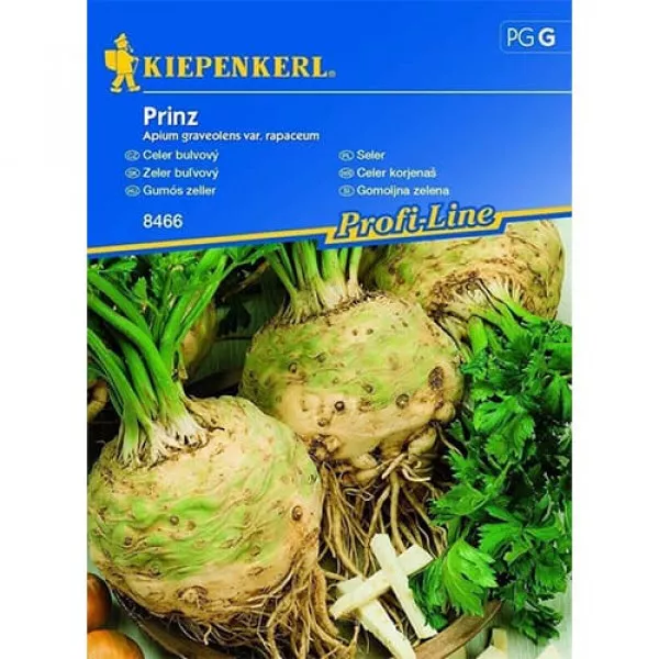 Zellergyökér Prinz