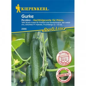 Uborka Picolino F1