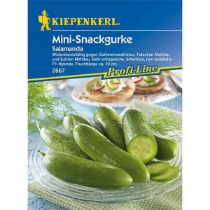 Uborka Salamanda F1