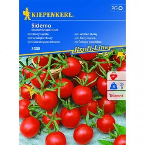 Paradicsom Siderno F1