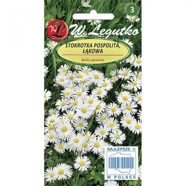 Közönséges Margaréta (ehető virágok)