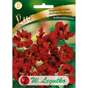 Mahogany Jewel Sarkantyúka