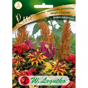 Magic Cascade Disznóparéj (Amaranthus) 