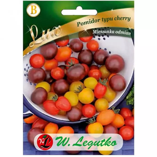 Paradicsom cherry, fajtakeverék