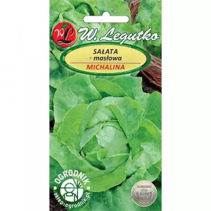 Saláta zöld Michalina