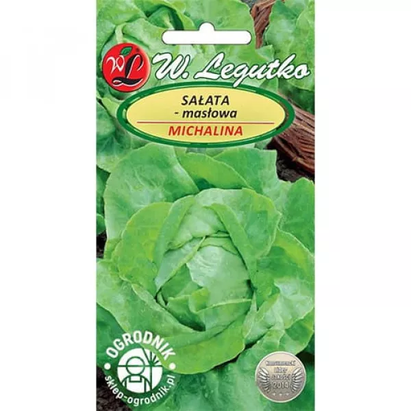 Saláta zöld Michalina Saláta zöld Michalina