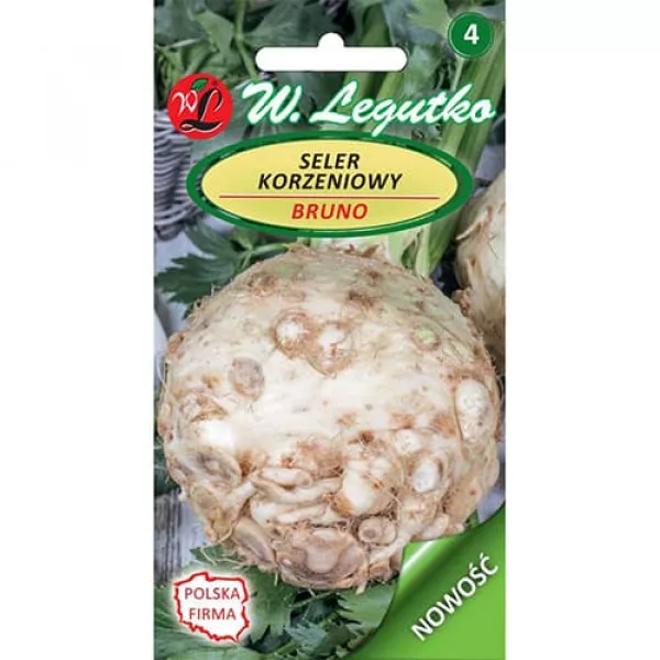 Zellergyökér Bruno