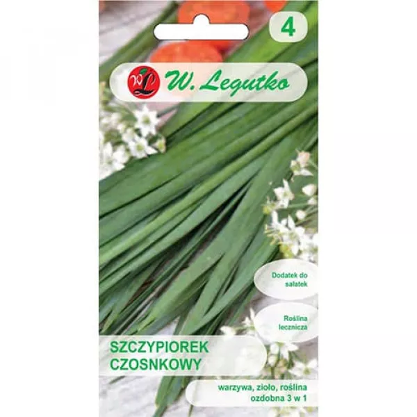 Metélőhagyma