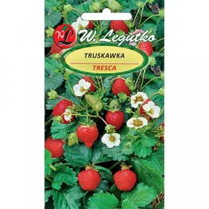 Tresca Eper 