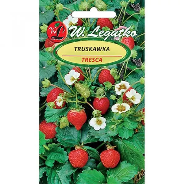 Tresca Eper 