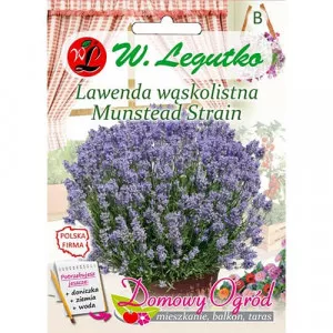 Munstead Strain Levendula 