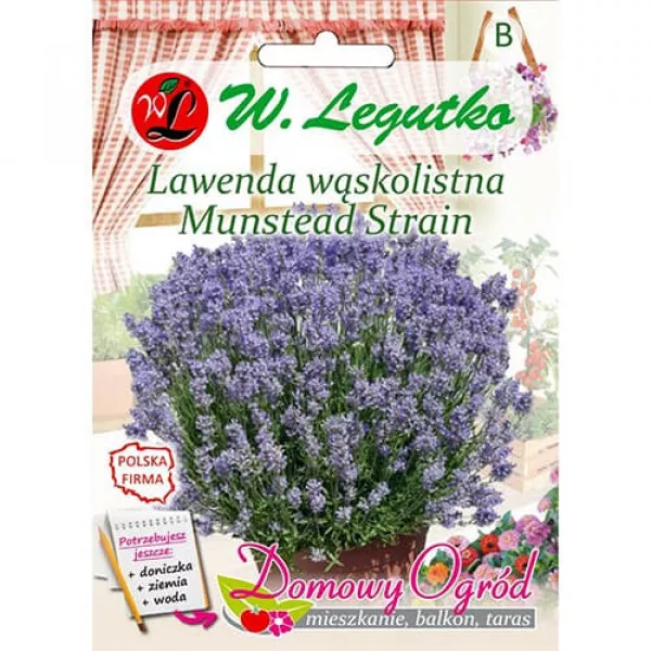 Munstead Strain Levendula 