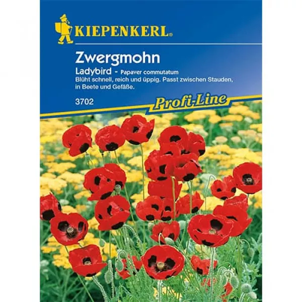 Ladybird Törpe Mák 