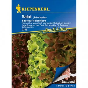 Saláta leveles Baby Leaf, keverék