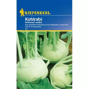 Karalábé Delikatess weisser