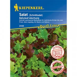 Saláta Babyleaf, keverék