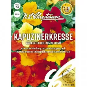 Queen Sarkantyúvirág színkeverék