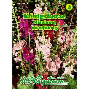 Lila ökörfarkkóró színkeverék