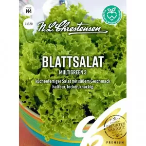 Saláta zöld Multigreen 3