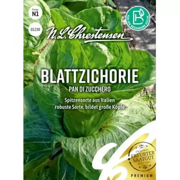 Cikória kerti Pan di zucchero