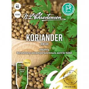 Koriander Jantar
