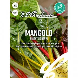 Mangold Bright Lights F1
