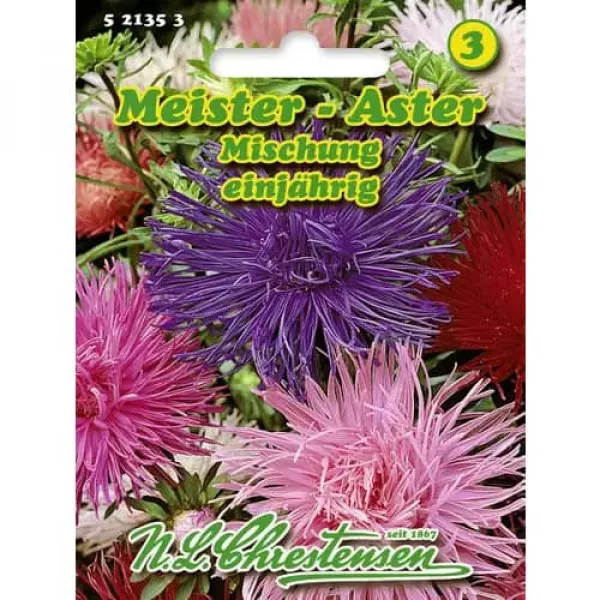 Meister Kerti őszirózsa színkeverék