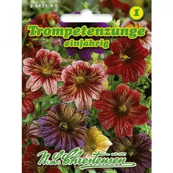 Salpiglossis Superbissima Trombitavirág, színkeverék