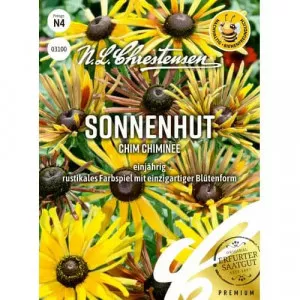 Borzas kúpvirág Chim Chiminee
