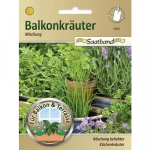Aromás cserepes fűszernövények, fajtakeverék