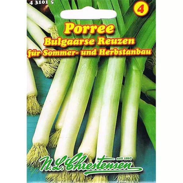 Póréhagyma Bulgaarse Reuzen