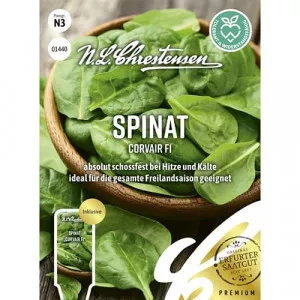 Spenót Corvair F1