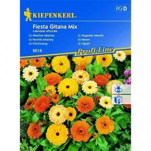 Fiesta Gitana Körömvirág