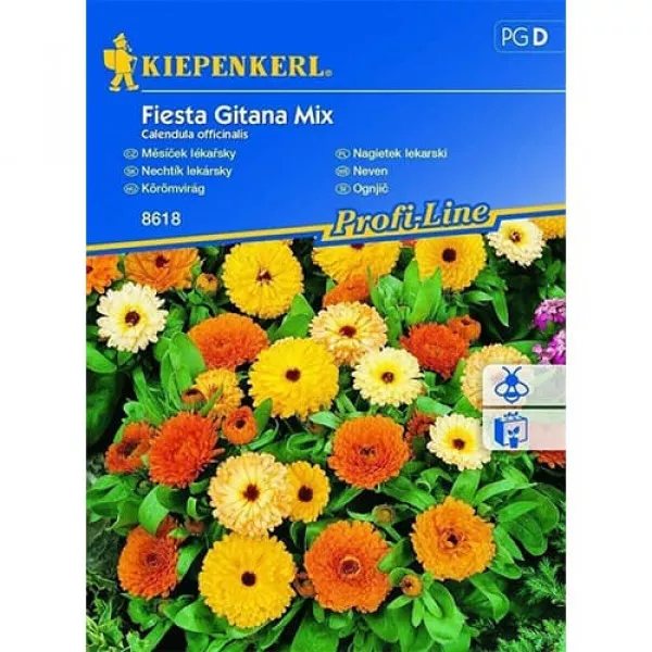 Fiesta Gitana Körömvirág
