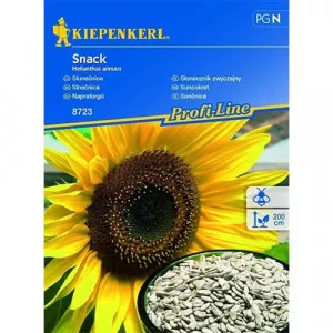 Snack Napraforgó
