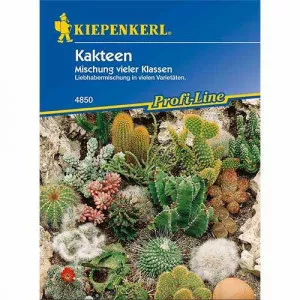 Kaktusz színkeverék
