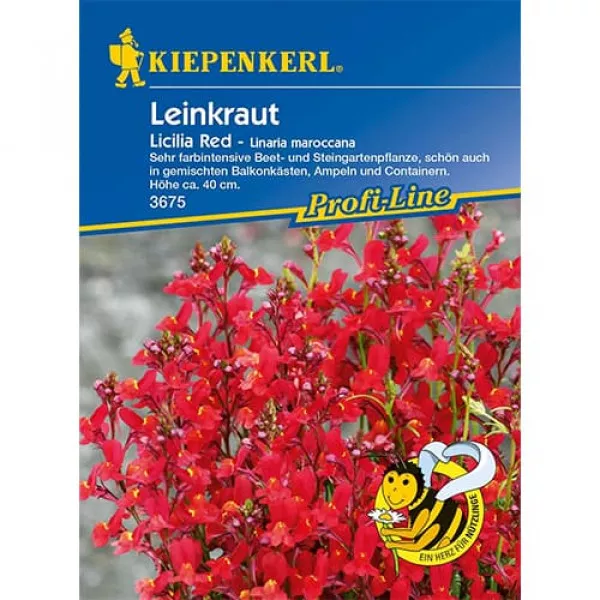 Marokkói Toadflax Licilia Red