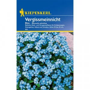 Blue Nefelejcsvirág