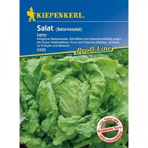 Saláta Leny