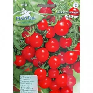 Paradicsom Red Cherry