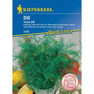 Kapor Tetra