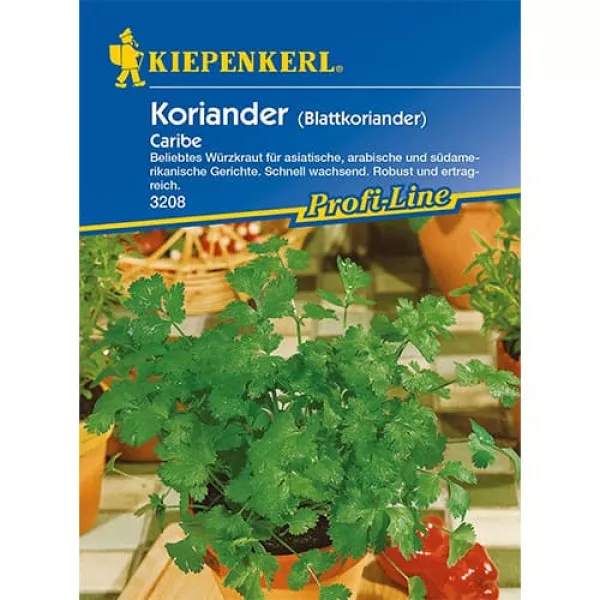 Koriander Caribe
